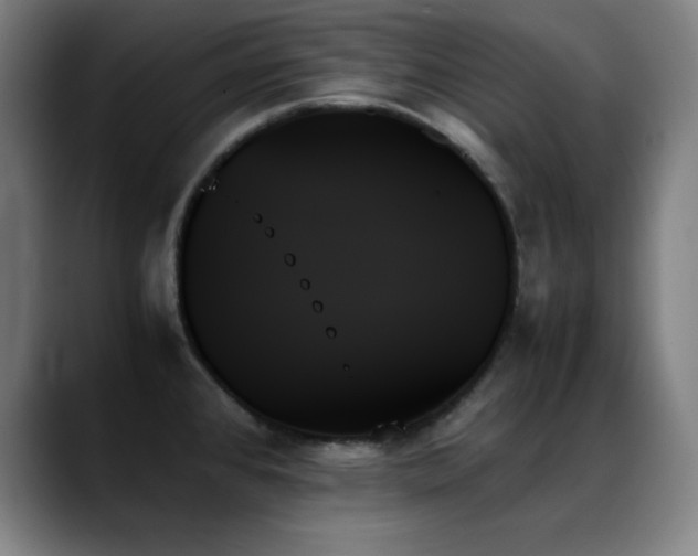 X0000089351384200706151053