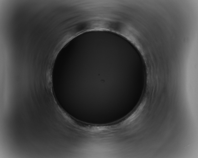 X0000089351385200706151053