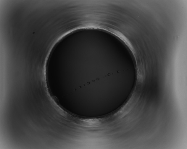 X0000089351388200706151053