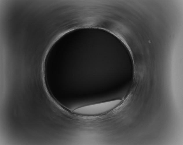 X0000089351389200706151053