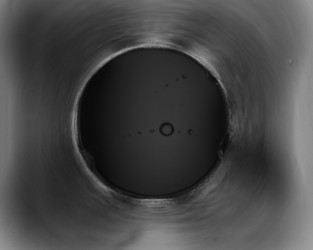X0000089351391200706151053