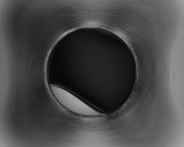 X0000089351392200706151053