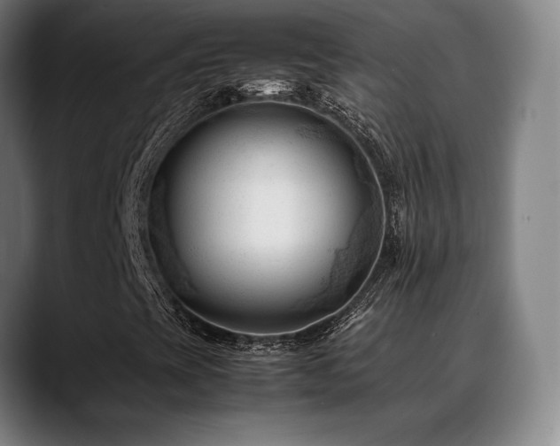 X0000089351393200706151053