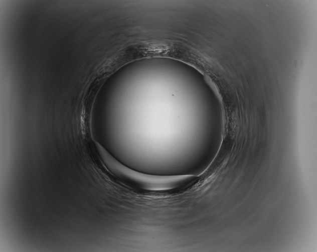 X0000089351394200706151053