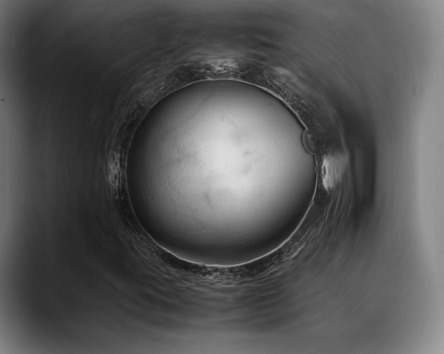 X0000089351395200706151053