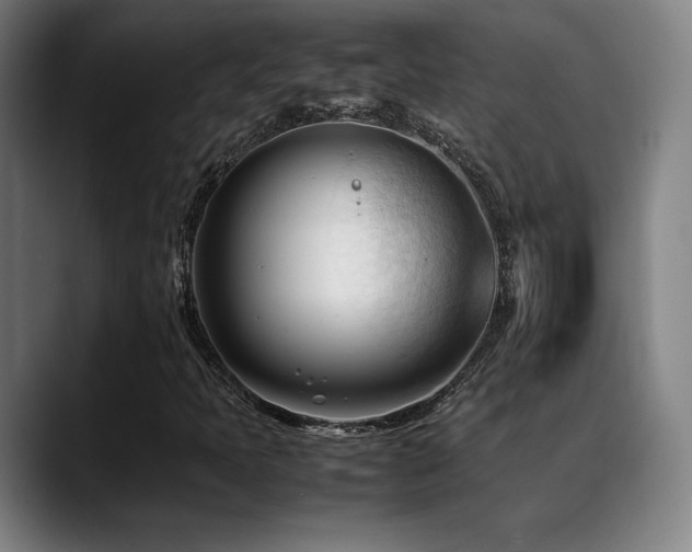 X0000089351397200706151053