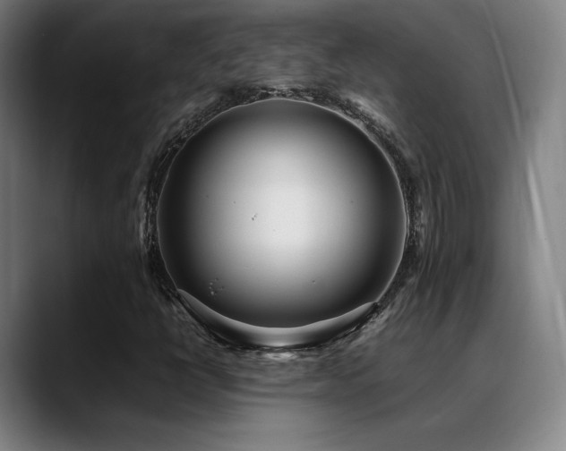X0000089351398200706151053