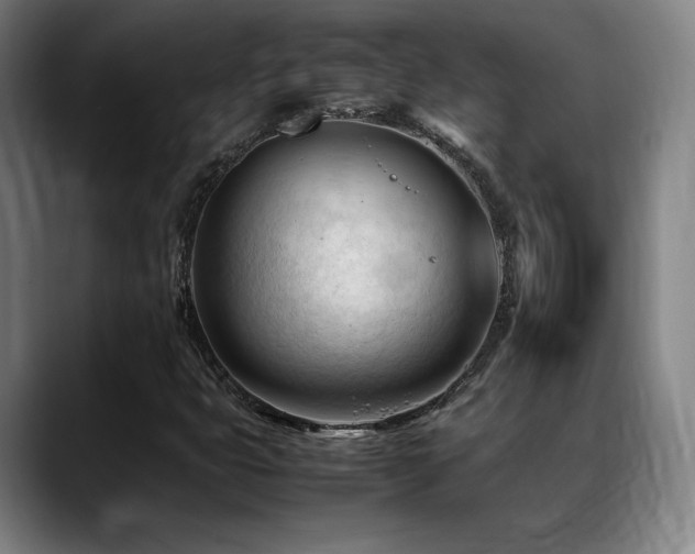 X0000089351399200706151053
