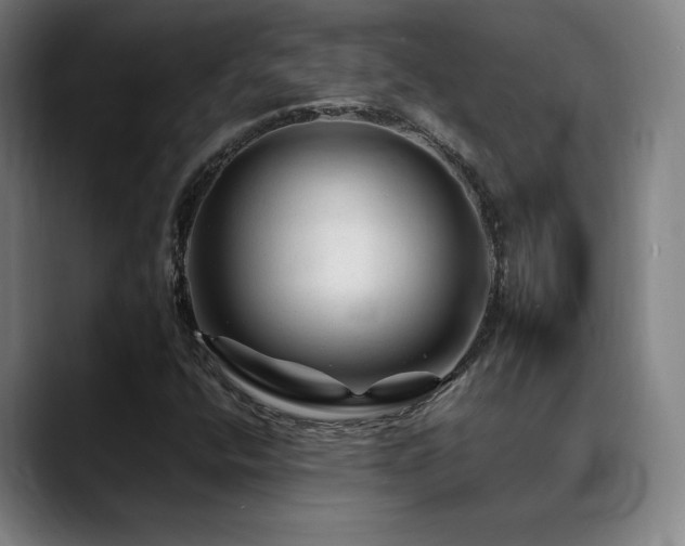 X0000089351400200706151053
