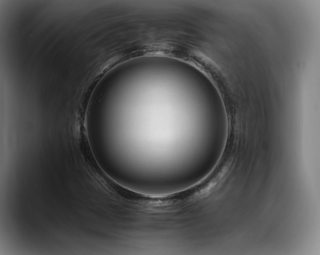 X0000089351401200706151053