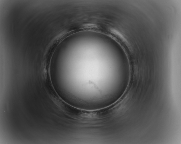 X0000089351403200706151053
