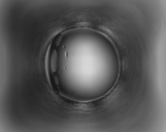 X0000089351405200706151053
