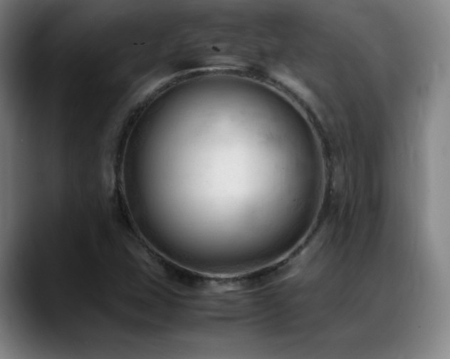 X0000089351407200706151053