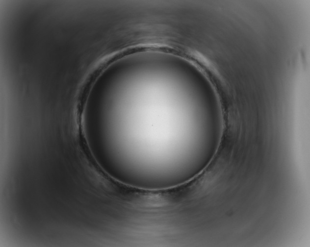 X0000089351408200706151053