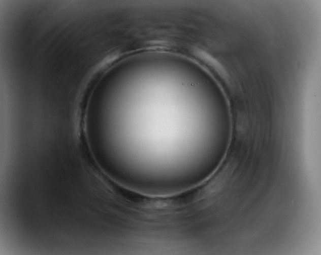 X0000089351411200706151053