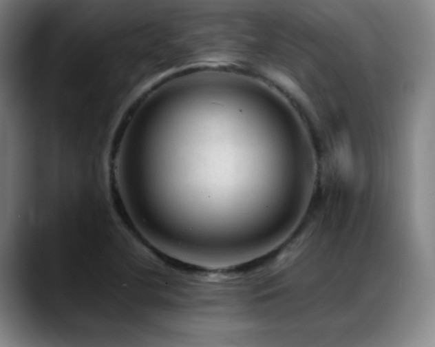X0000089351412200706151053