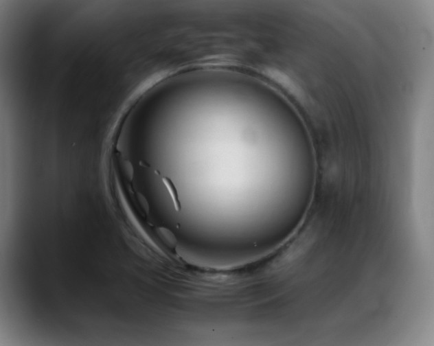 X0000089351413200706151053