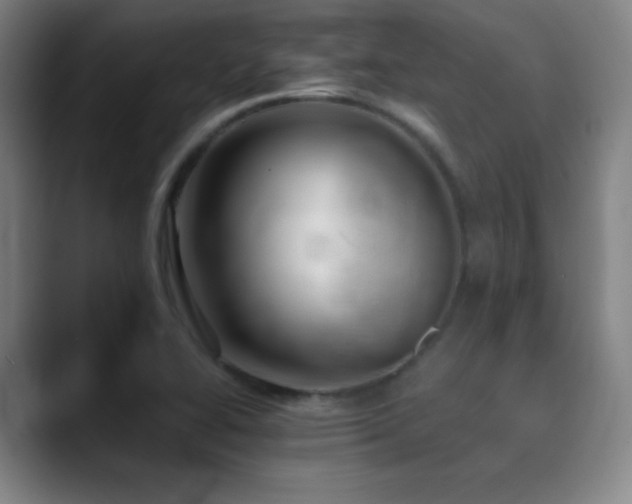 X0000089351414200706151053