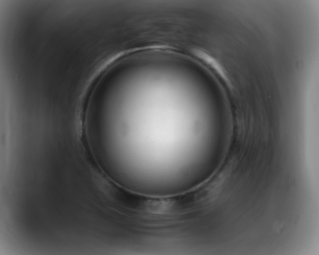 X0000089351415200706151053