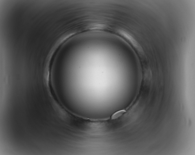 X0000089351418200706151053