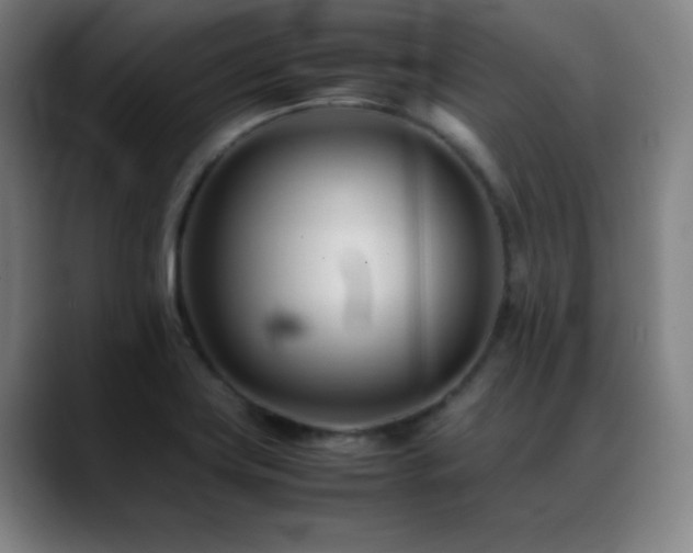 X0000089351419200706151053
