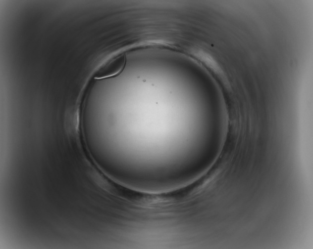 X0000089351420200706151053