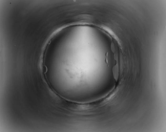 X0000089351421200706151053