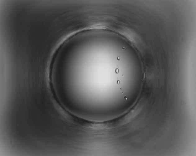 X0000089351422200706151053