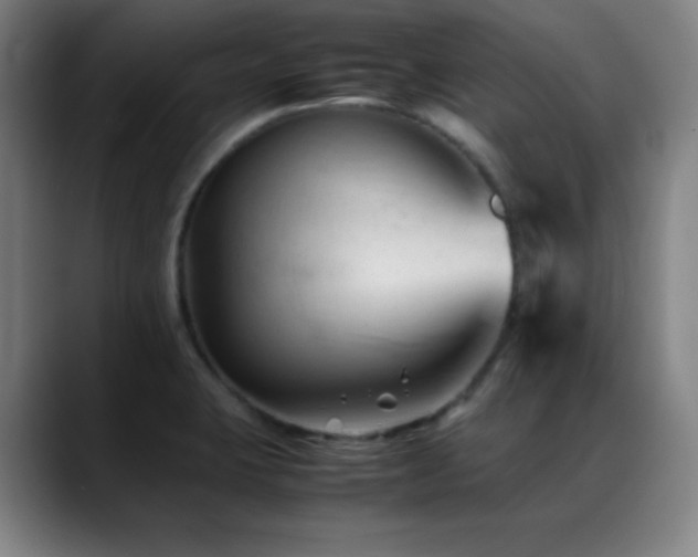 X0000089351423200706151053