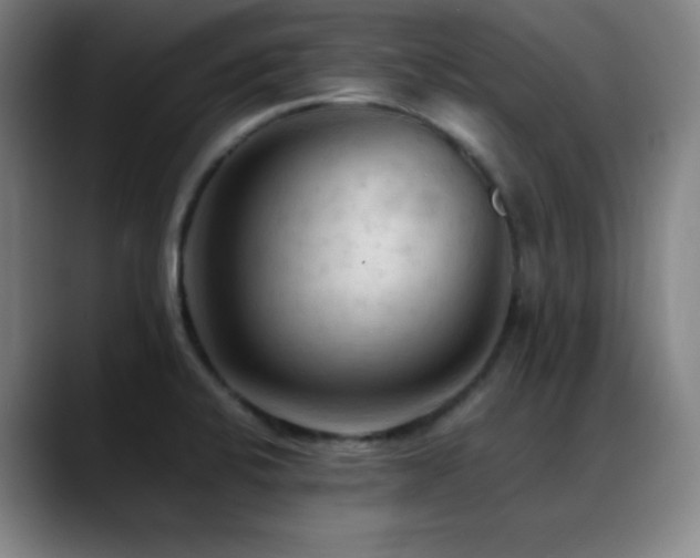 X0000089351424200706151053