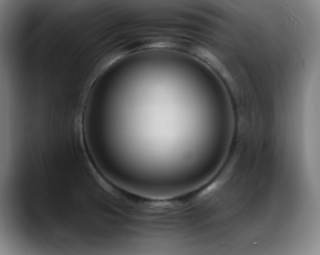 X0000089351425200706151053