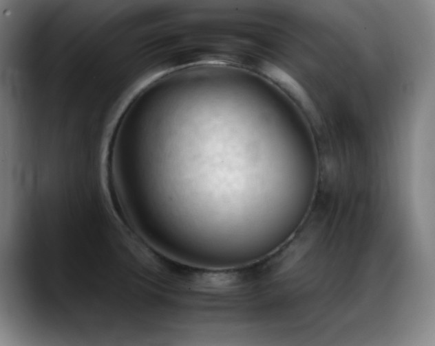X0000089351427200706151053