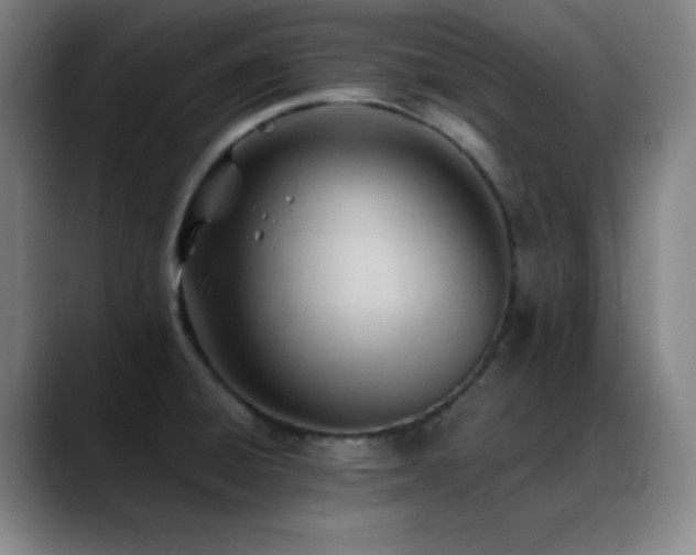 X0000089351428200706151053