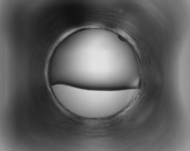 X0000089351429200706151053