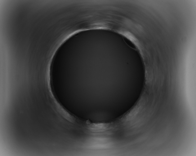 X0000089351431200706151053