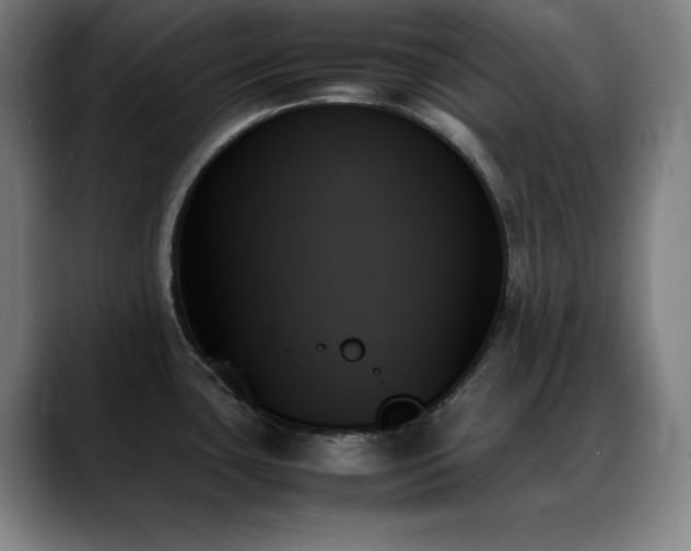 X0000089351435200706151053
