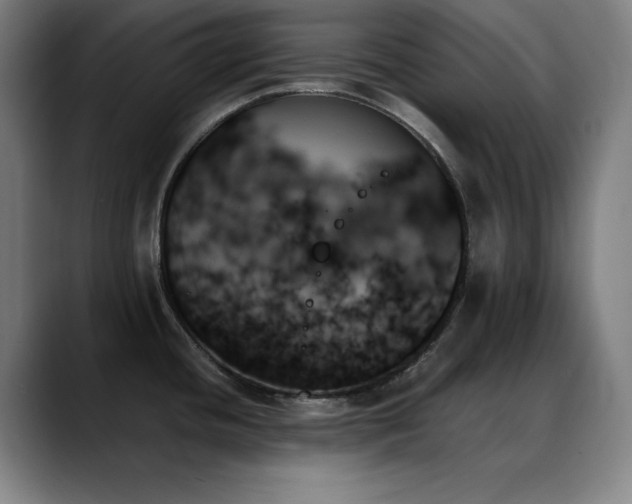 X0000089351436200706151053