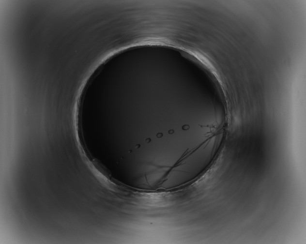 X0000089351438200706151053