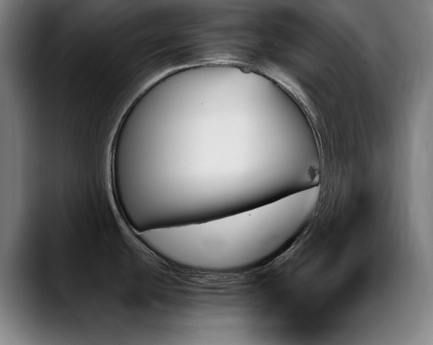 X0000089351439200706151053