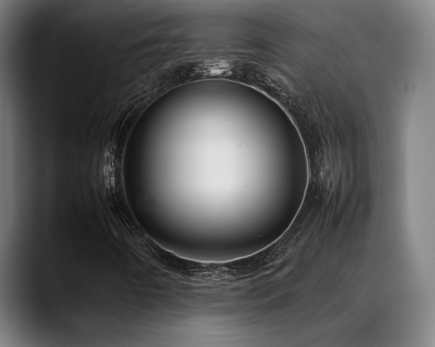 X0000089351442200706151053