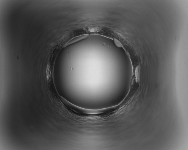 X0000089351443200706151053