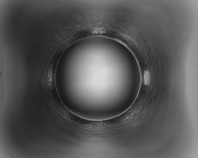 X0000089351444200706151053