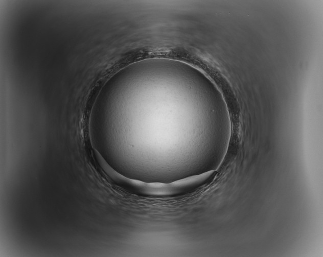 X0000089351445200706151053