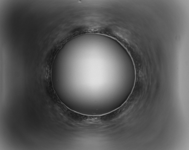 X0000089351447200706151053