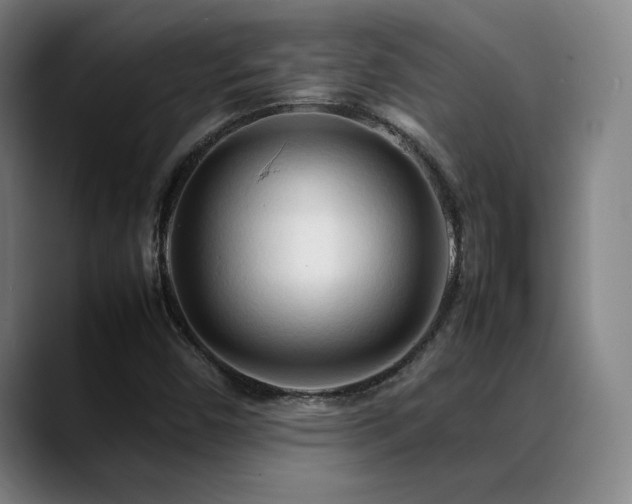 X0000089351450200706151053