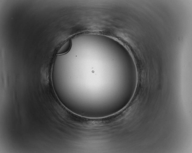 X0000089351451200706151053