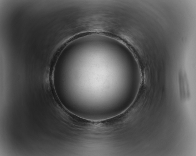 X0000089351452200706151053