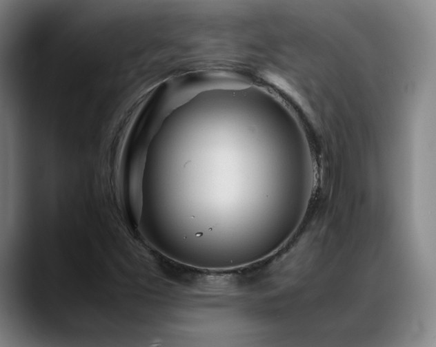 X0000089351453200706151053