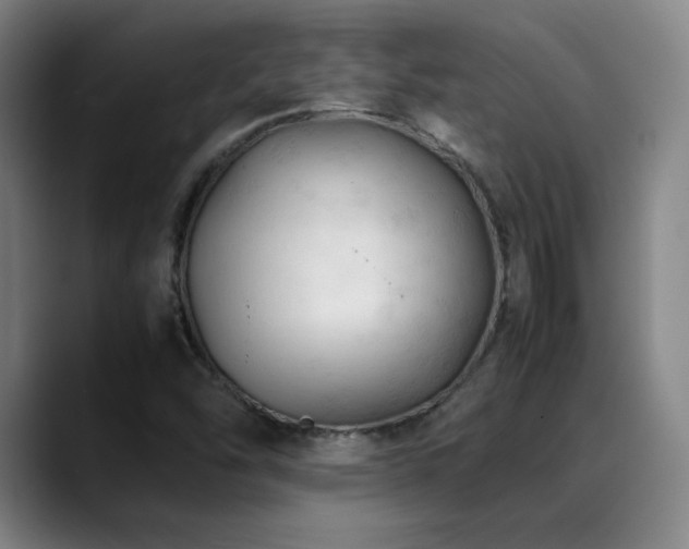 X0000089351454200706151053