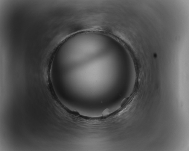 X0000089351455200706151053